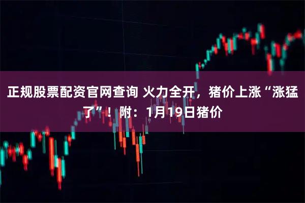 正规股票配资官网查询 火力全开，猪价上涨“涨猛了”！附：1月19日猪价