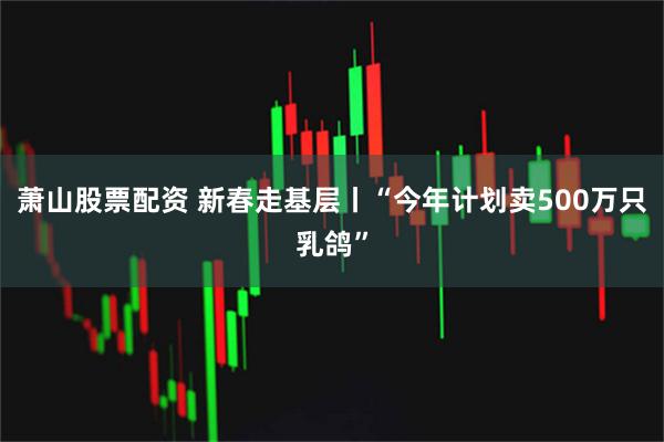 萧山股票配资 新春走基层丨“今年计划卖500万只乳鸽”